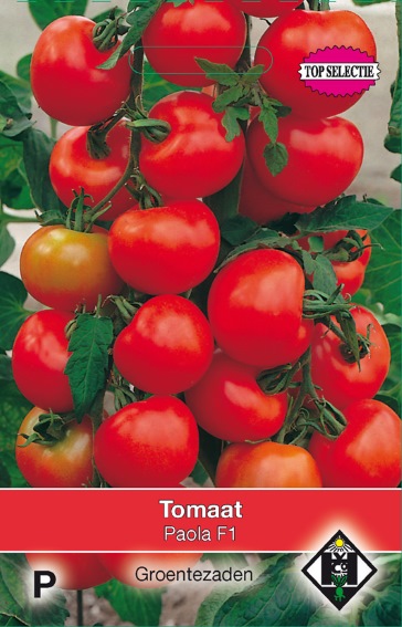 Tomaat Paola F1 (Solanum) 40 zaden